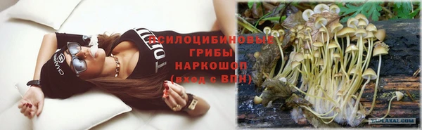 МДПВ Армянск