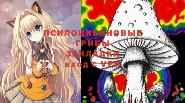 соль курить ск Горняк