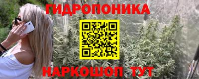 сатива Пыть-Ях