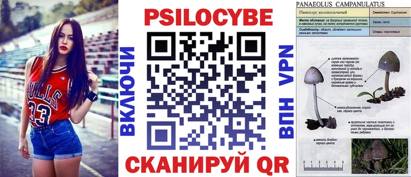 Псилоцибиновые грибы Psilocybine cubensis Радужный