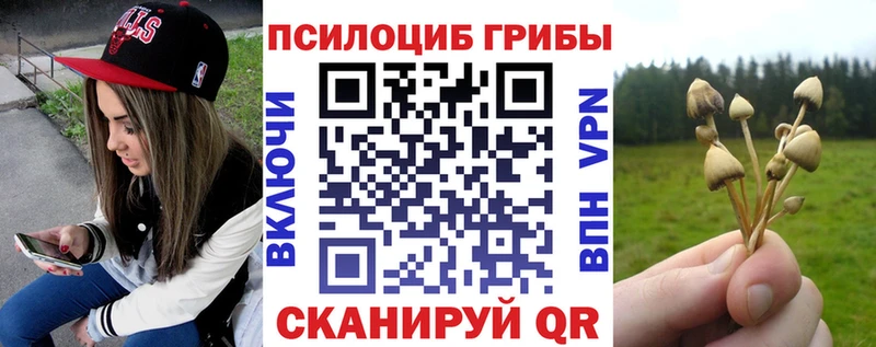 Галлюциногенные грибы Psilocybine cubensis  Радужный 