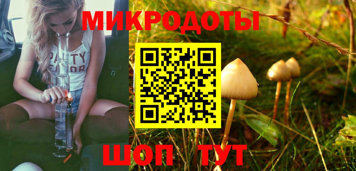 Радужный  Галлюциногенные грибы Psilocybine cubensis  Вход с VPN 
